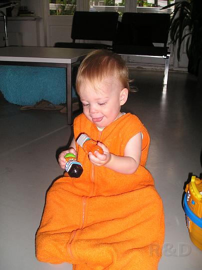 Imme 26 augustus 2007 (3).JPG